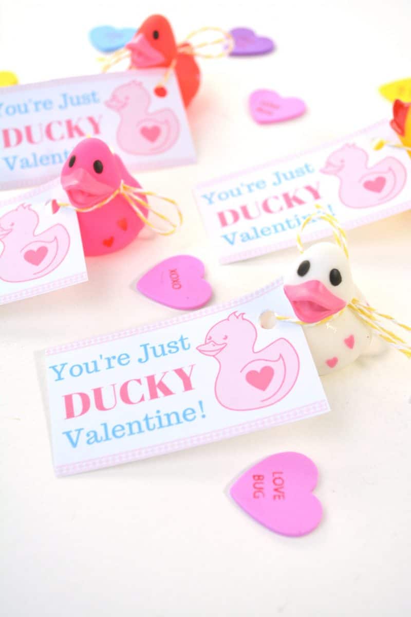 DIY ducky valentine's day card