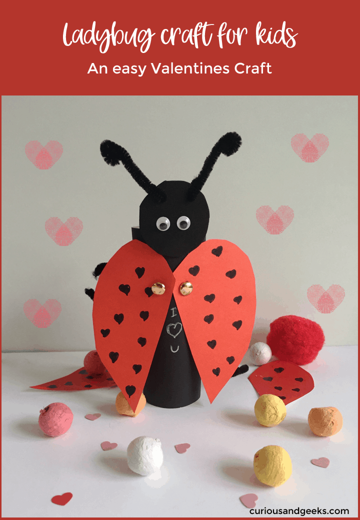 Valentine's Day lady bug craft