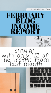 february blog income report
