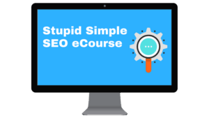 what is stupid simple seo