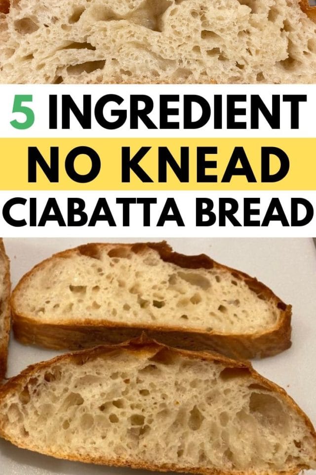no knead ciabatta recipe